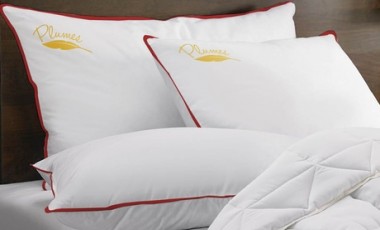 vente privée Oreillers à plumes 100% coton de Sampur : 60x60 cm / 4