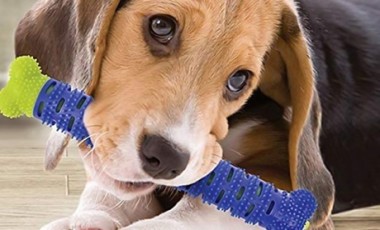 vente privée Os à mâcher anti-tartre pour chiens : x2