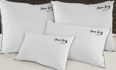 vente privée Oreillers 100% Plumes broderie luxe Sampur : 50x30 cm / 1