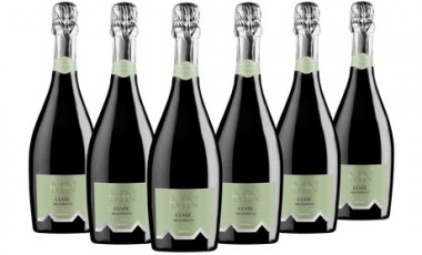 vente privée Bouteilles de vin italien : 12 bouteilles / Conegliano Valdobbiadene prosecco Musti Nobilis