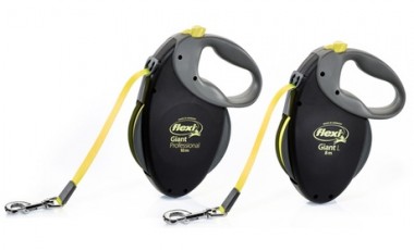 vente privée Laisse pour chiens Flexi : 8 m