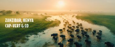 vente privée De Zanzibar au Kenya, une multitude de produits réservables toute l'année et r...