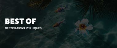 vente privée Évadez-vous vers des destinations de rêve, où le paradis se dévoile. Plages ...