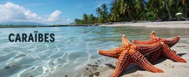 vente privée Découvrez des séjours exclusifs dans les Caraïbes et plongez dans un paradis ...